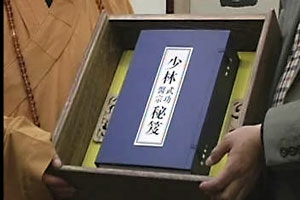 少林武功秘笈
