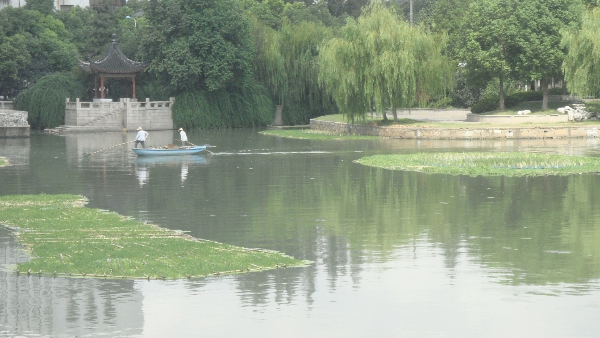 吳江水鄉