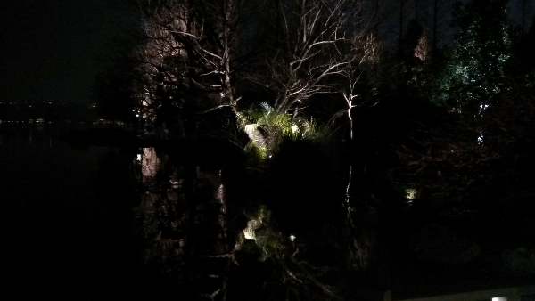 杭州西湖夜景:水上枯枝 杭州西湖夜景:水上枯枝