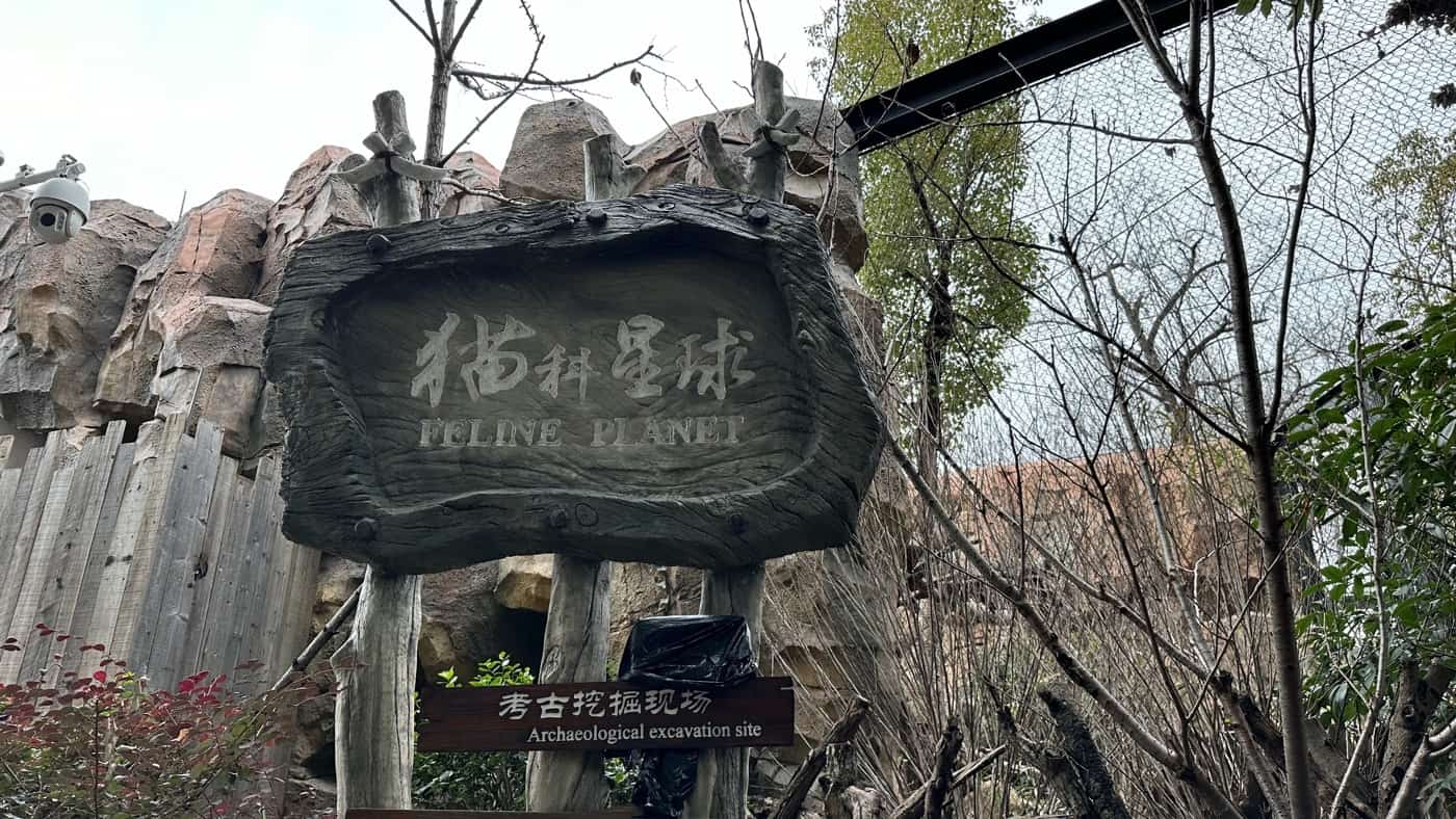 四、光臨貓科星球1