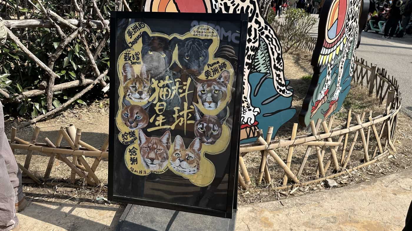 紅山動物園：南京1座獨具特色的貓科森林星球