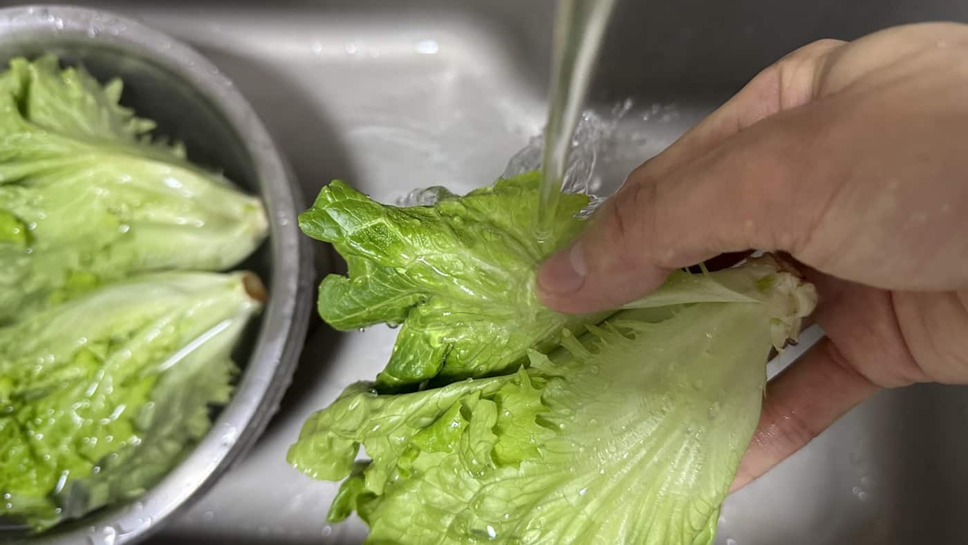 如何把菜洗乾淨：流動的水沖洗
