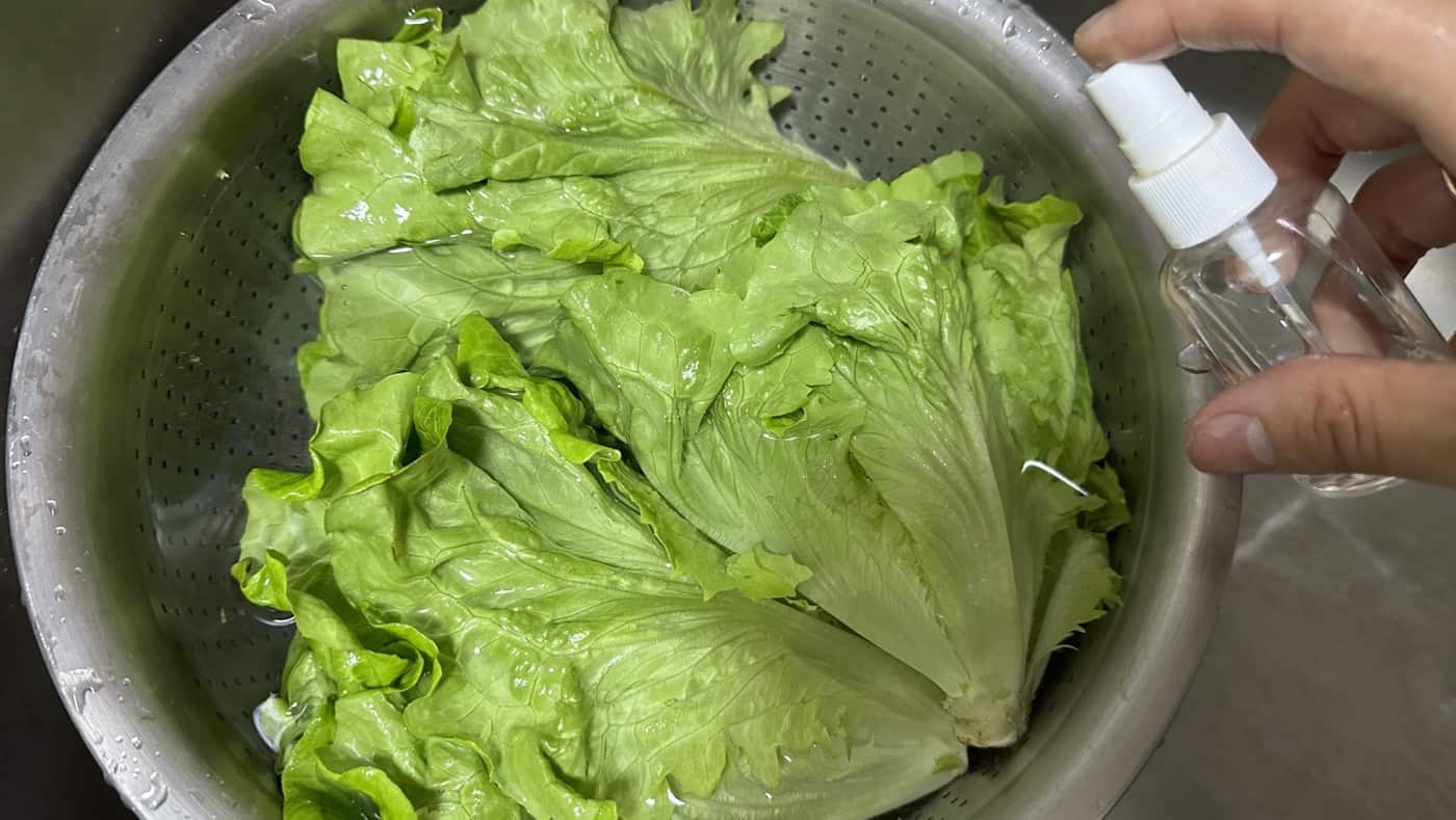 如何把菜洗乾淨：浸泡與清潔劑