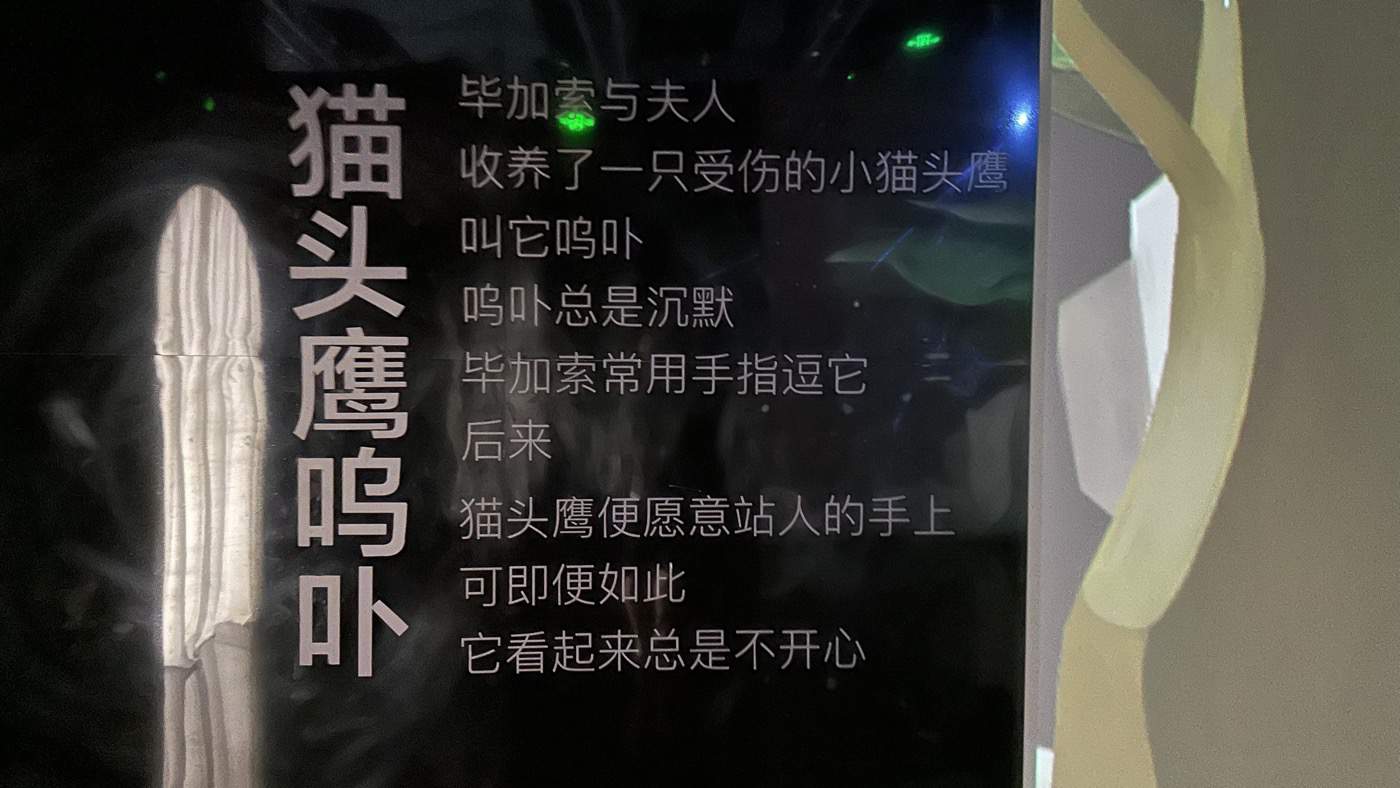 五、貓頭鷹的森林2