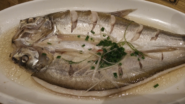 太湖白魚 太湖白魚