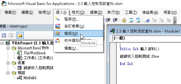 建立一個的模組：「插入」、「模組」。