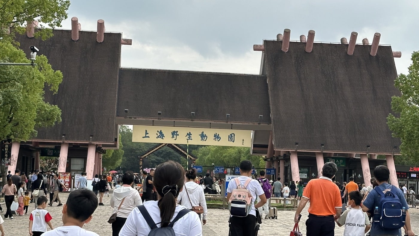 上海旅遊新景點：野生動物園的1日攻略體驗