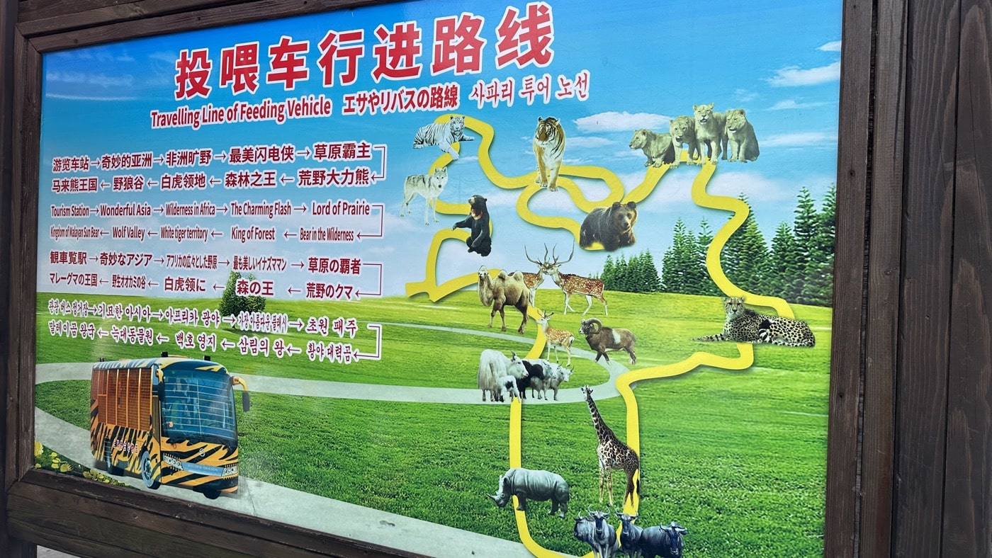 三、1頭黑熊趴在車窗1