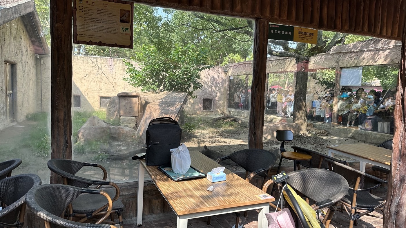 五、獵豹餐廳牛排攻略3