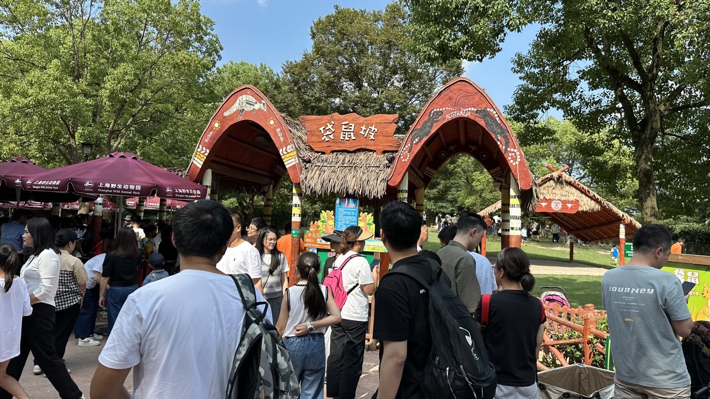 七、袋鼠坡的新鮮體驗2