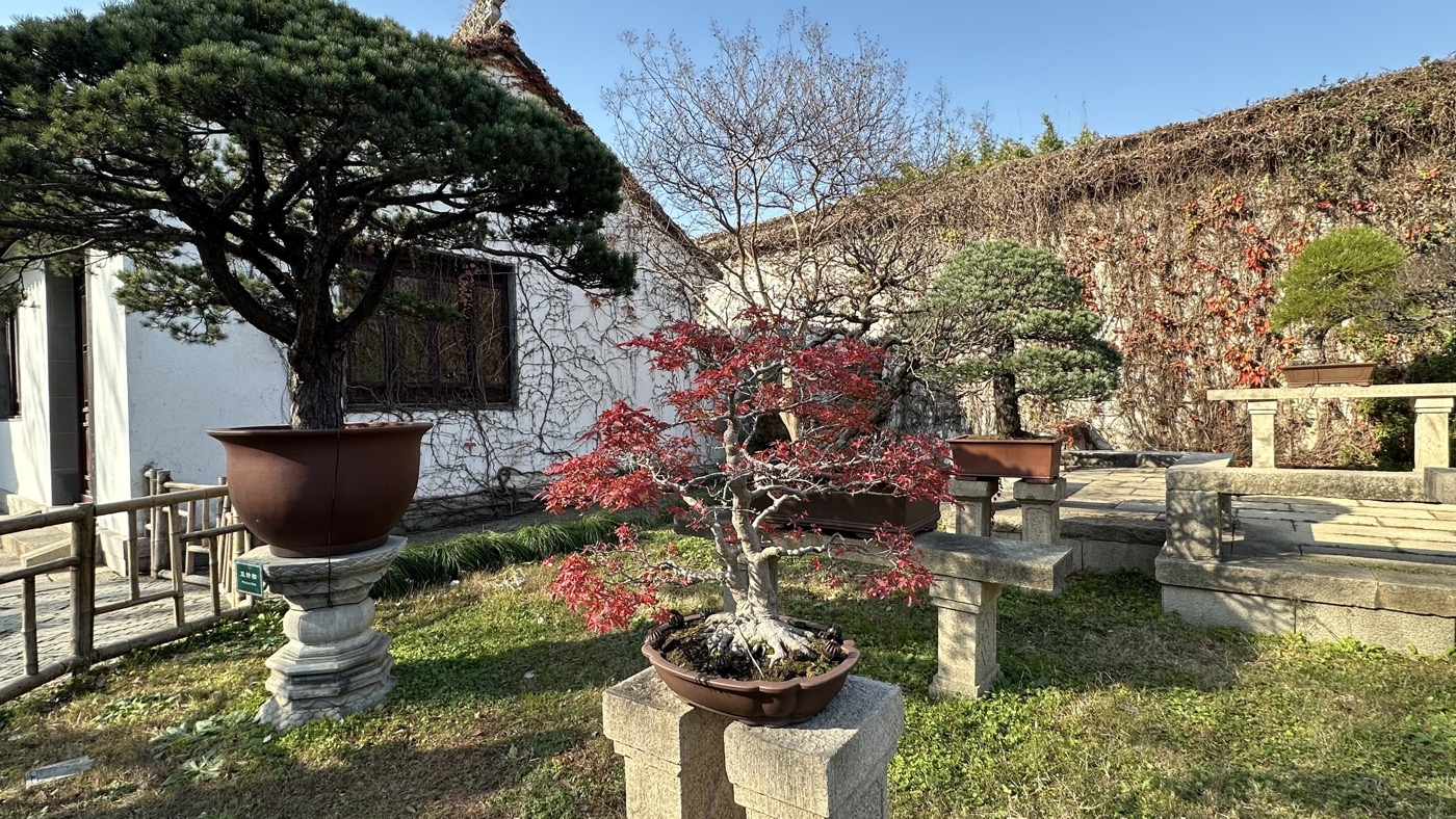 七、西部盆景花館2