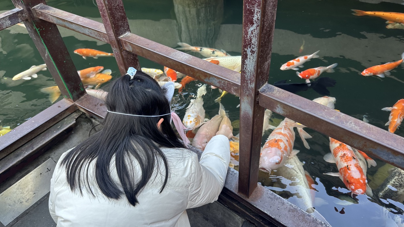 九、珍寶館餵魚區1
