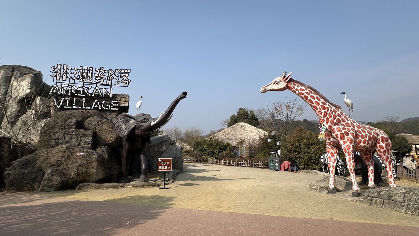 四、大象黑熊白虎1