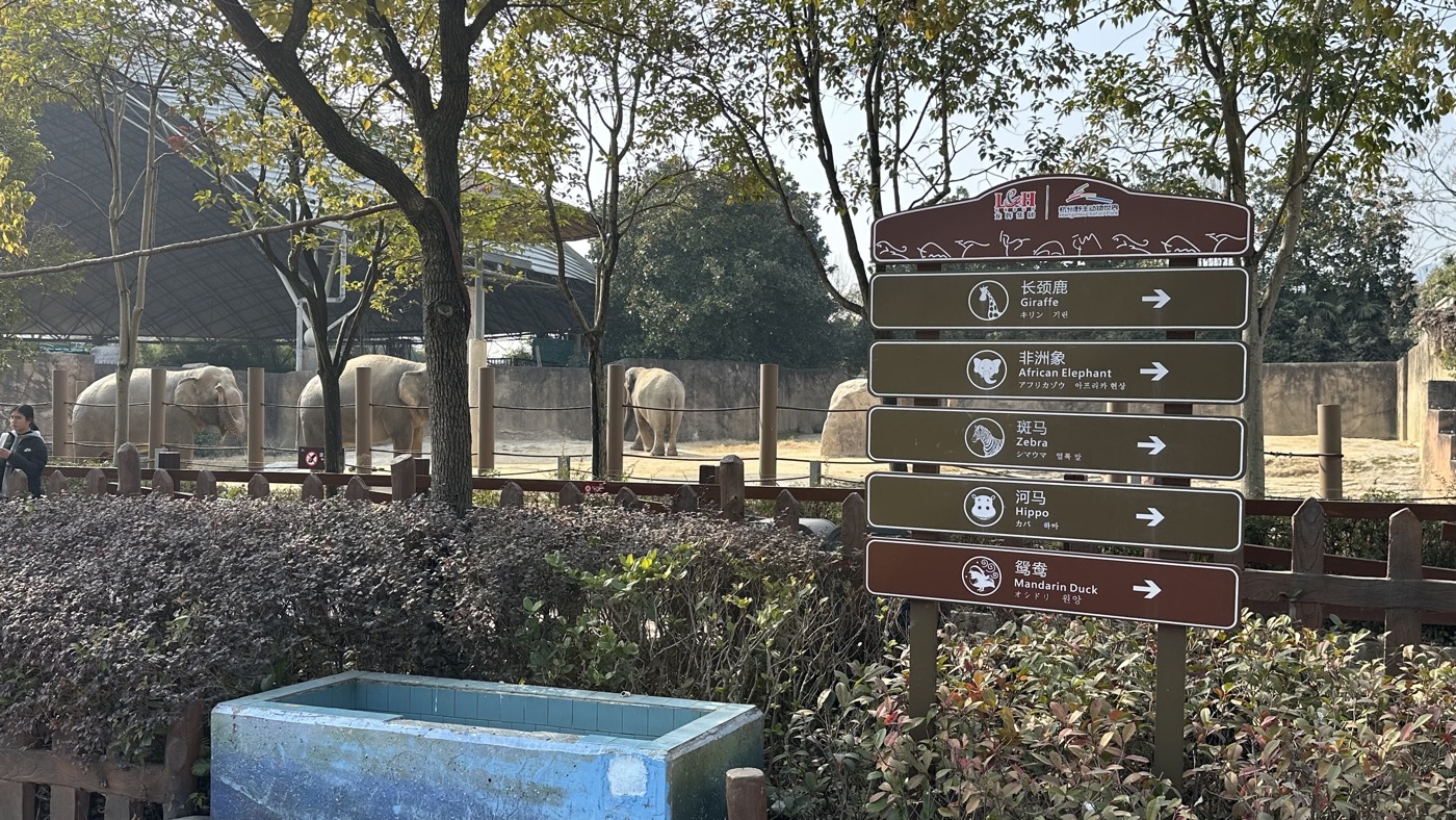 四、大象黑熊白虎2