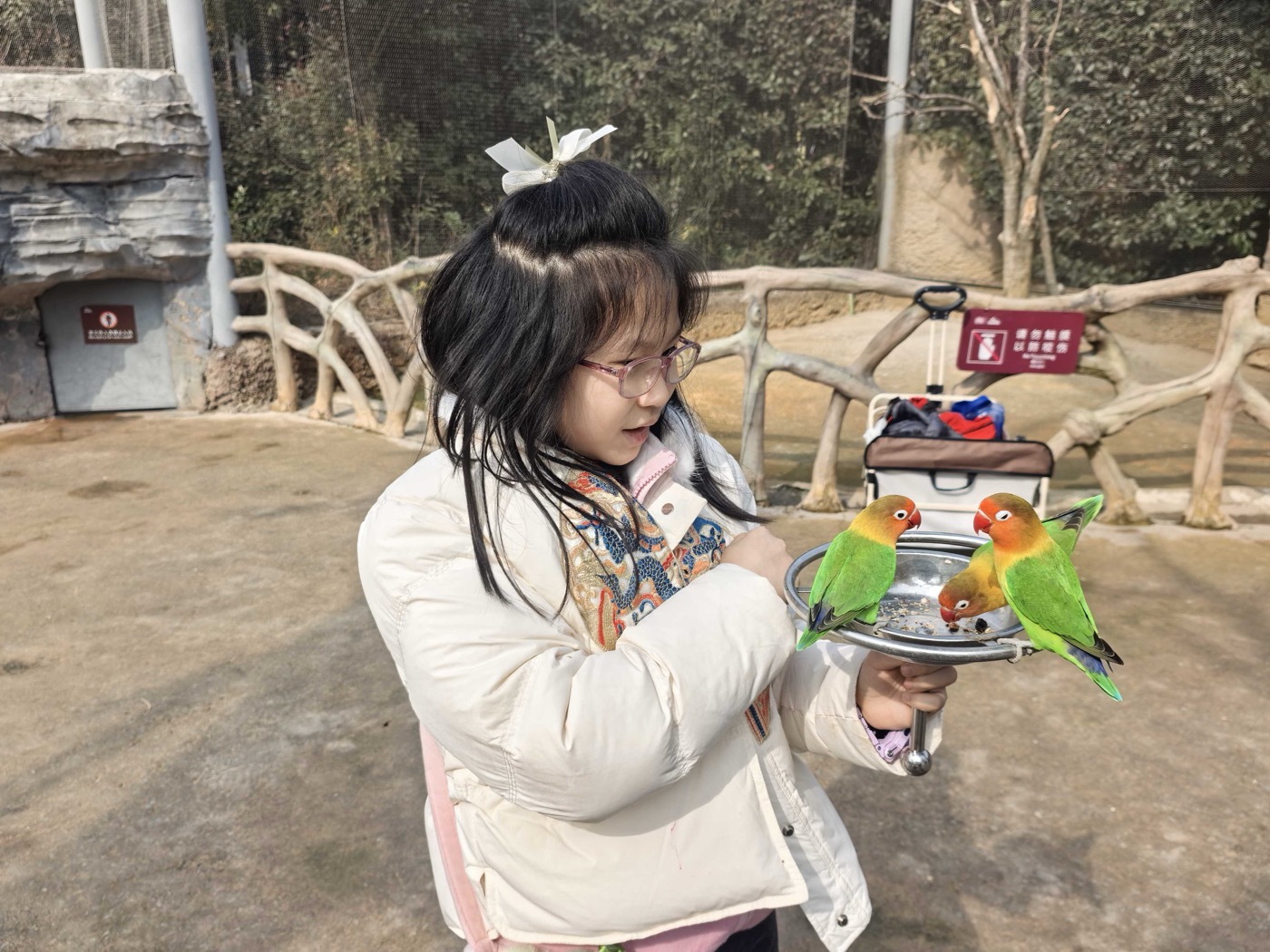 六、小朋友餵食互動1