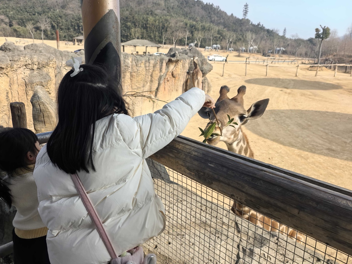 六、小朋友餵食互動2