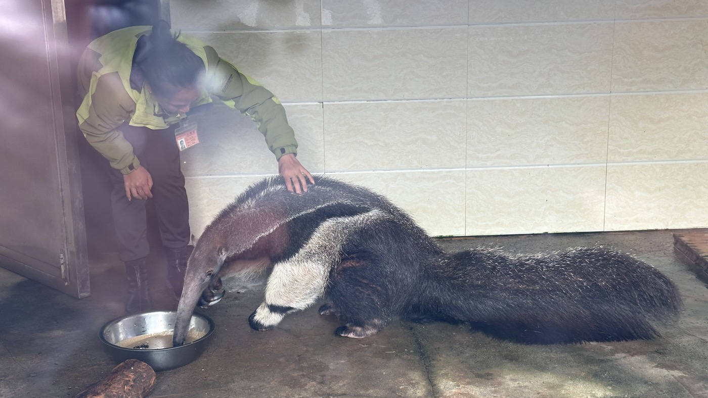 八、表演和稀有動物1