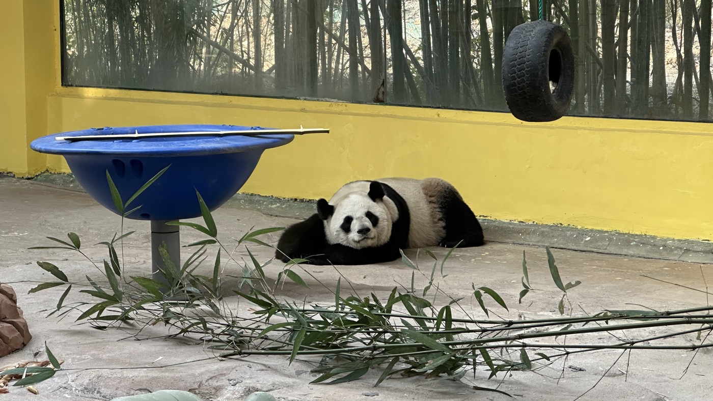 八、表演和稀有動物3