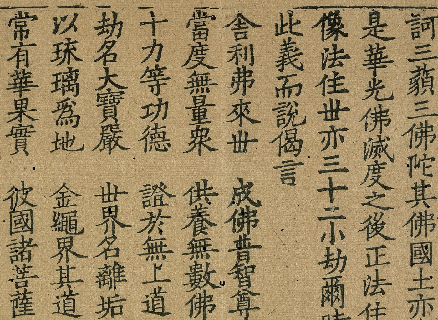 智慧尊者是誰？
