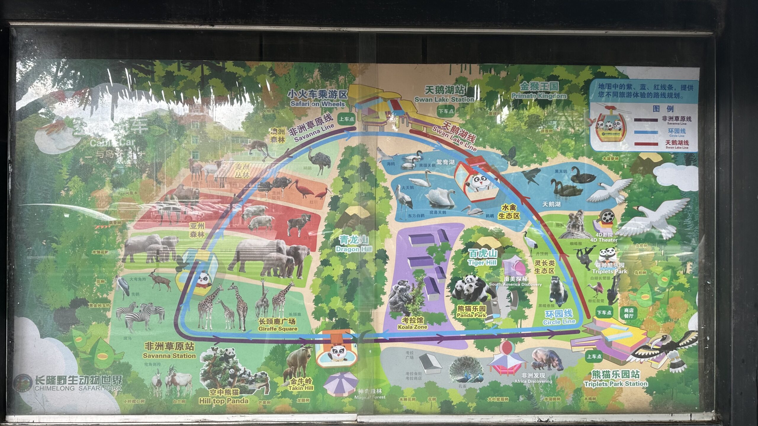 三、免費空中纜車1