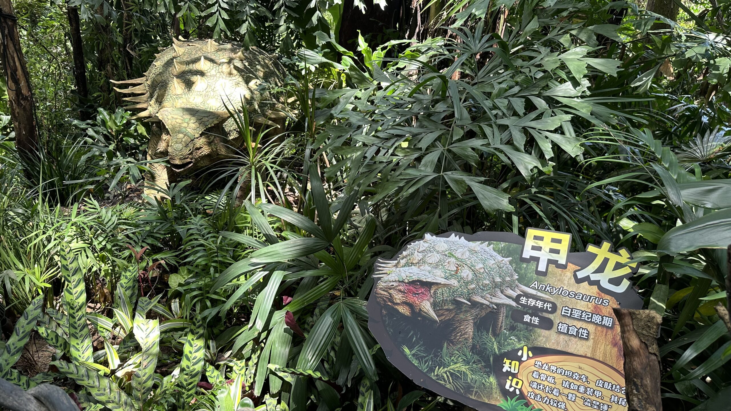 四、青龍山侏羅紀