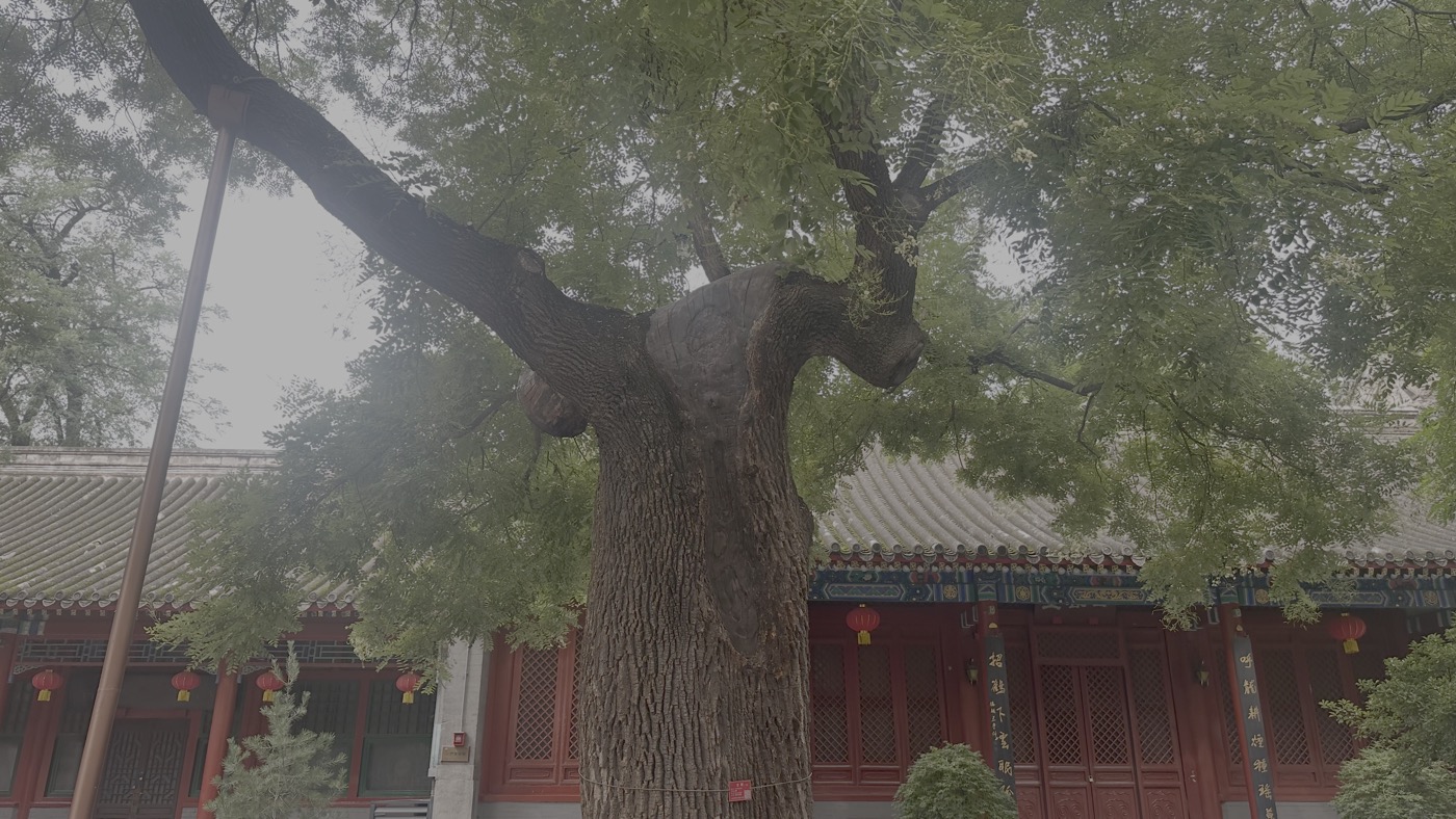 十、景點參觀心得1