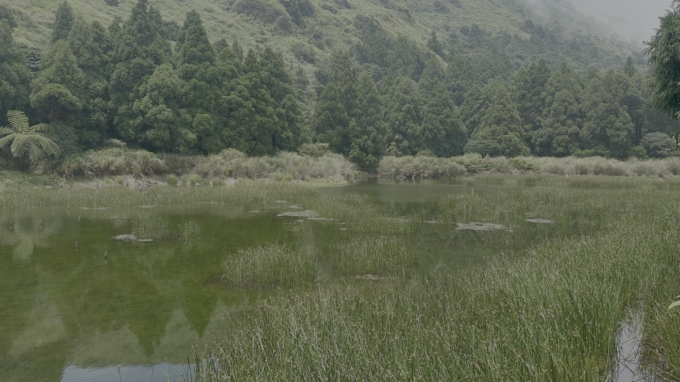 7.夢幻湖2