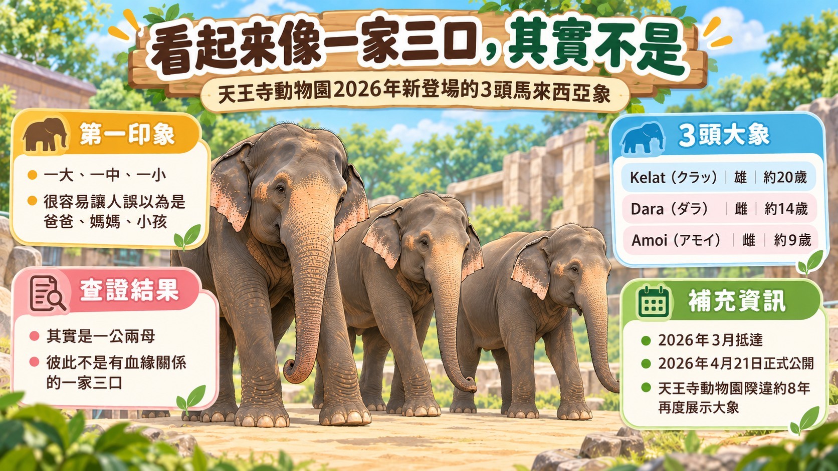 四、天王寺動物園馬來西亞象：Kelat／Dara／Amoi身分整理卡