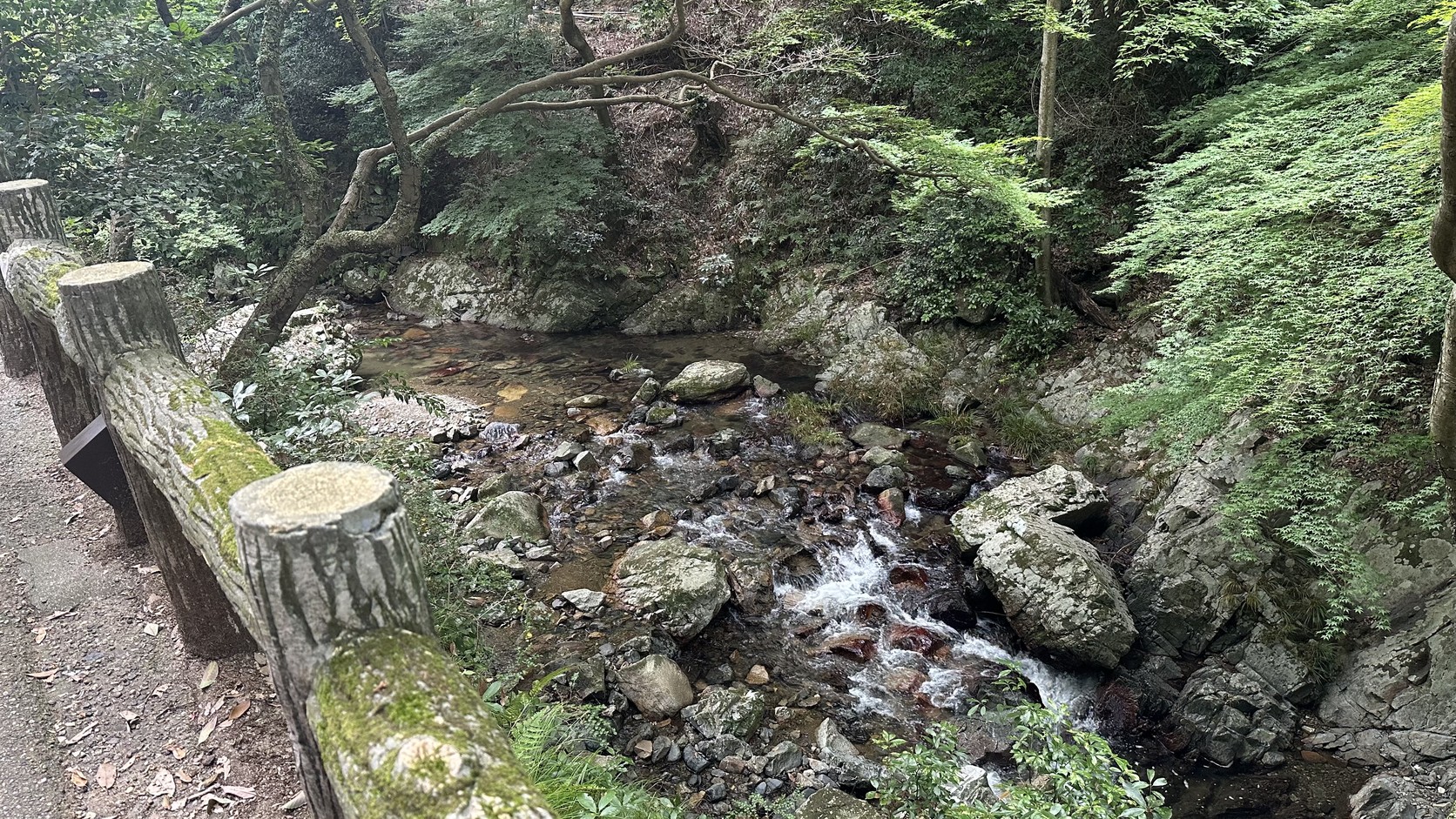 箕面公園內的山谷溪流與木欄杆步道，兩側是濃密的夏季樹林