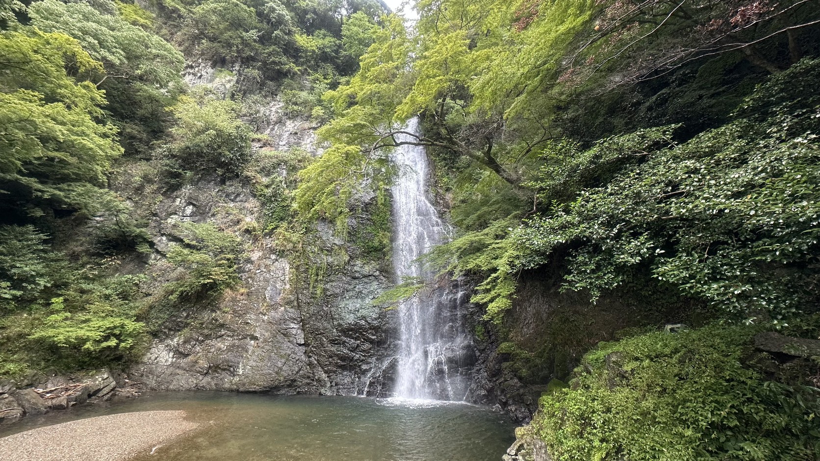 箕面大瀑布全景，水流從兩側岩壁與綠樹之間落入下方水潭
