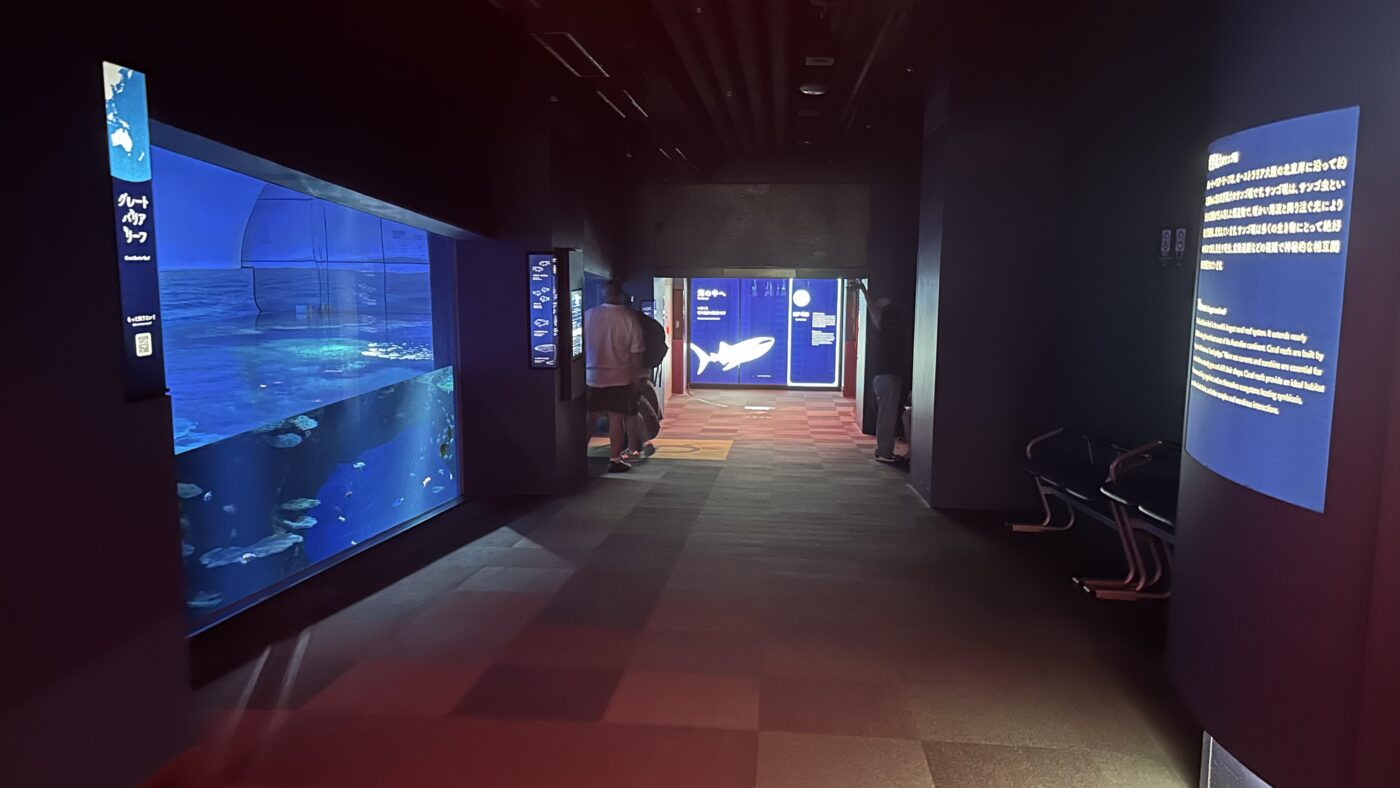走進海遊館才發現空間比外觀看起來大