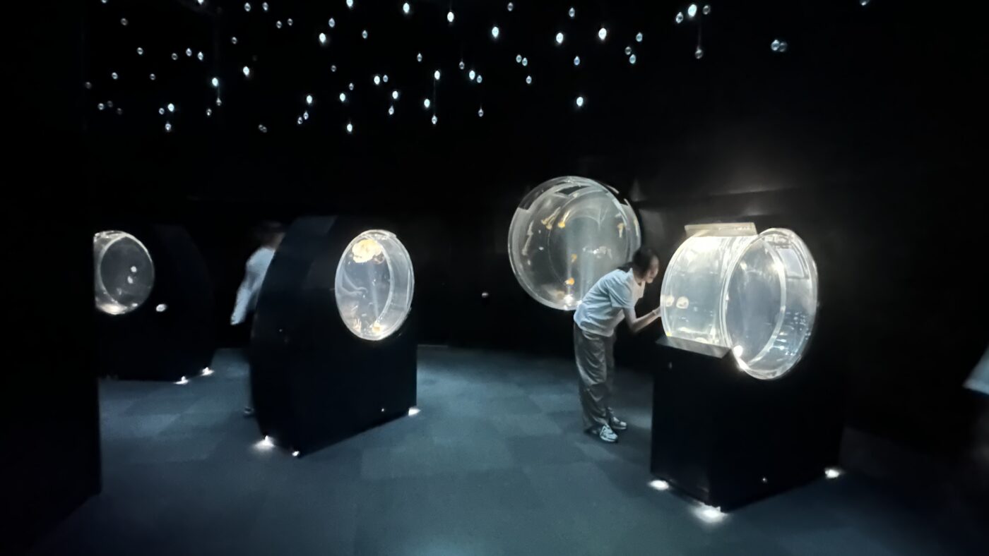 水母世界像漂浮在滿天星斗之間