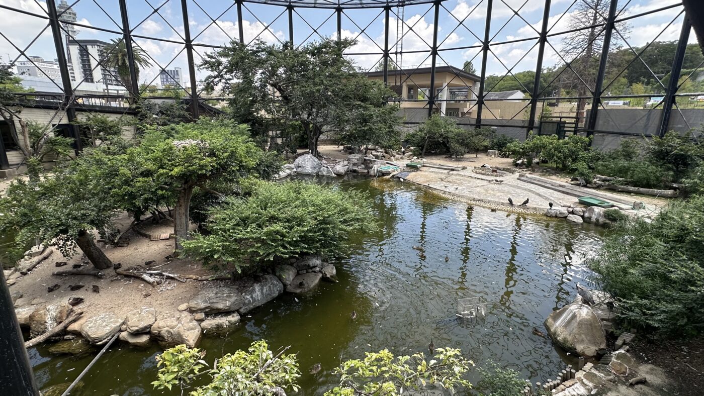 七、天王寺一日遊怎麼調整？極簡、一般與親子三種玩法