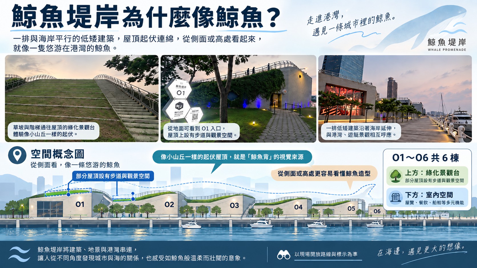 鯨魚堤岸為什麼像鯨魚知識卡