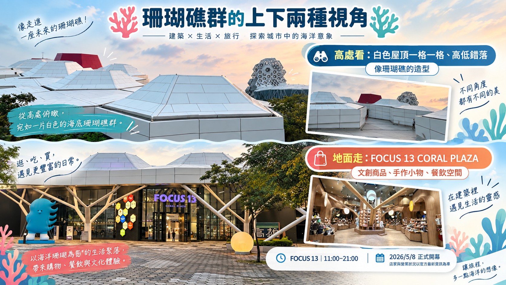 珊瑚礁群上下兩種視角知識卡