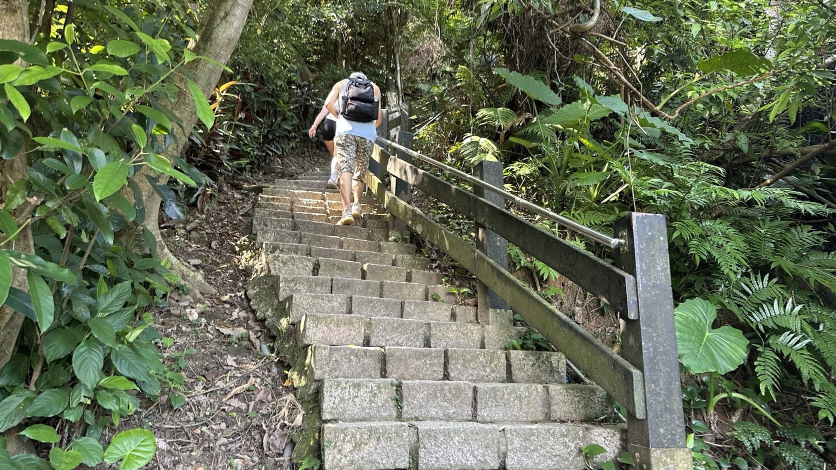 象山步道陡坡段設有扶手的連續石階實拍