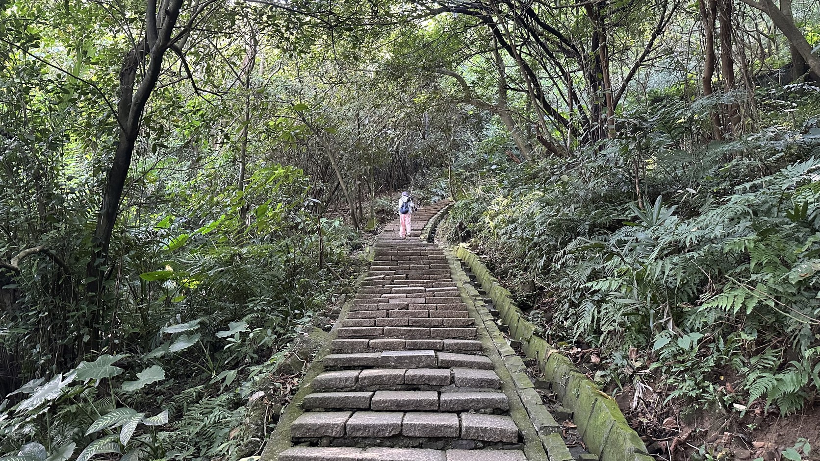 象山步道整備完整的連續石階實拍