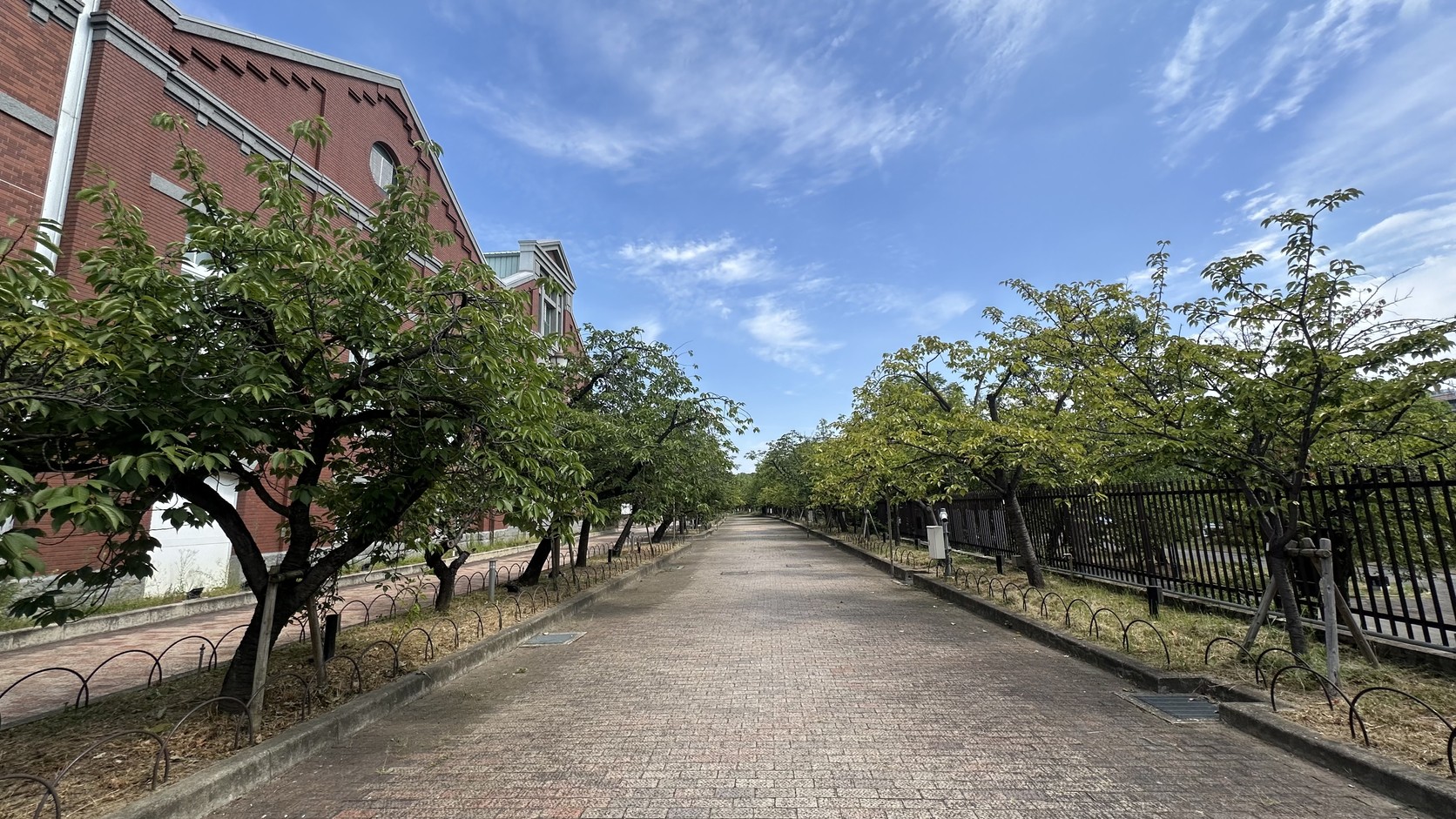 大阪造幣局造幣博物館紅磚建築與兩側櫻樹步道實拍：7月藍天下樹木只有茂密綠葉