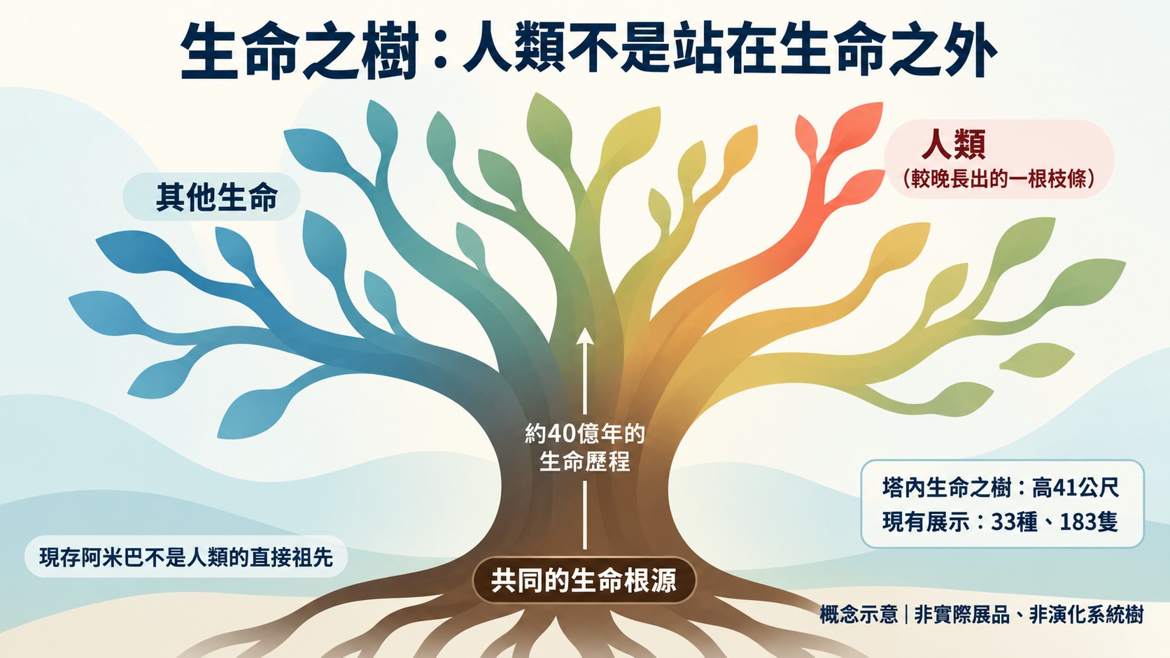 生命關係卡：生命之樹不是把人類放在生命之外，人類是約 40 億年生命歷程中較晚長出的一根枝條，現存阿米巴不是人類的直接祖先