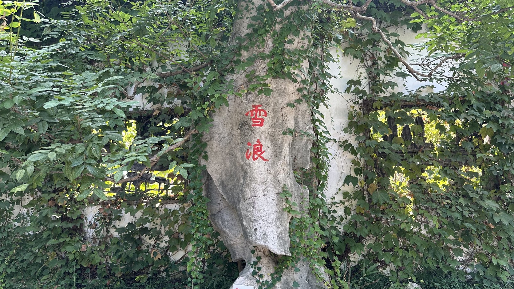 假山石上刻著紅色「雪浪」兩字，旁邊有流水與藤蔓