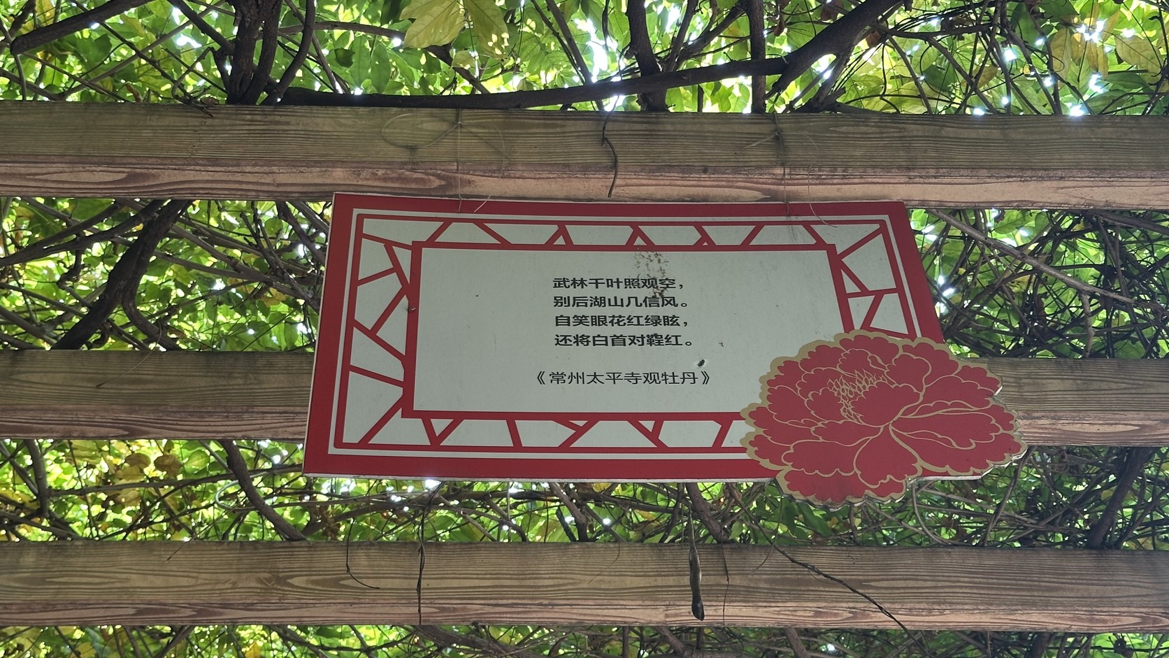 長廊詩牌〈常州太平寺觀牡丹〉，旁邊有牡丹圖案