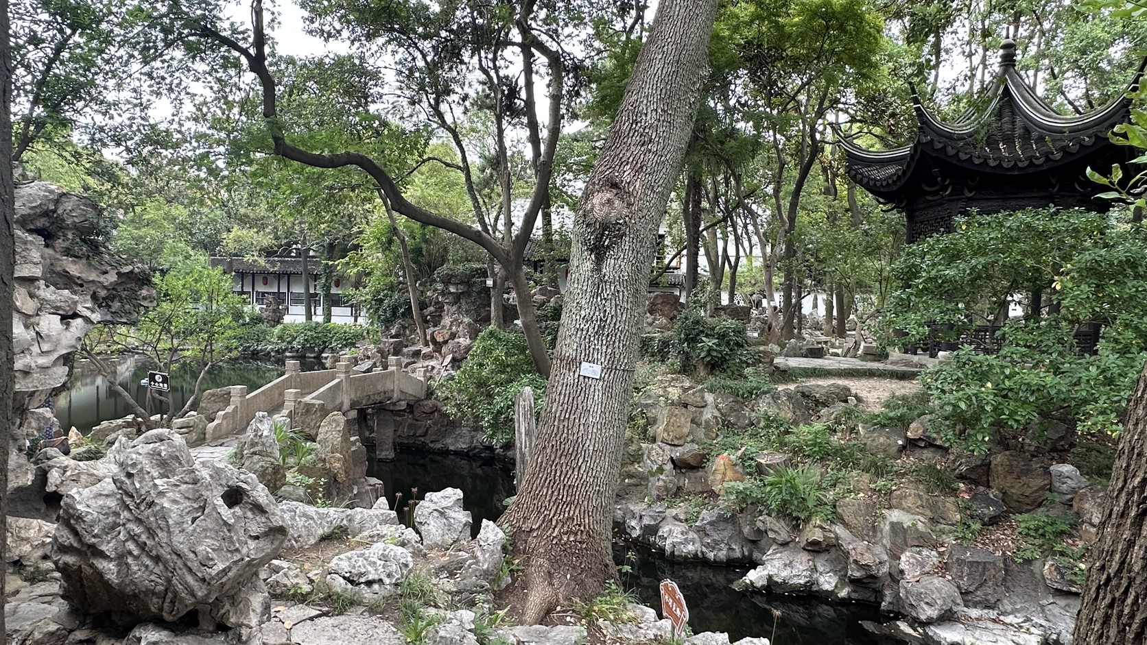 近園的池水、石橋、黃石假山與樹木