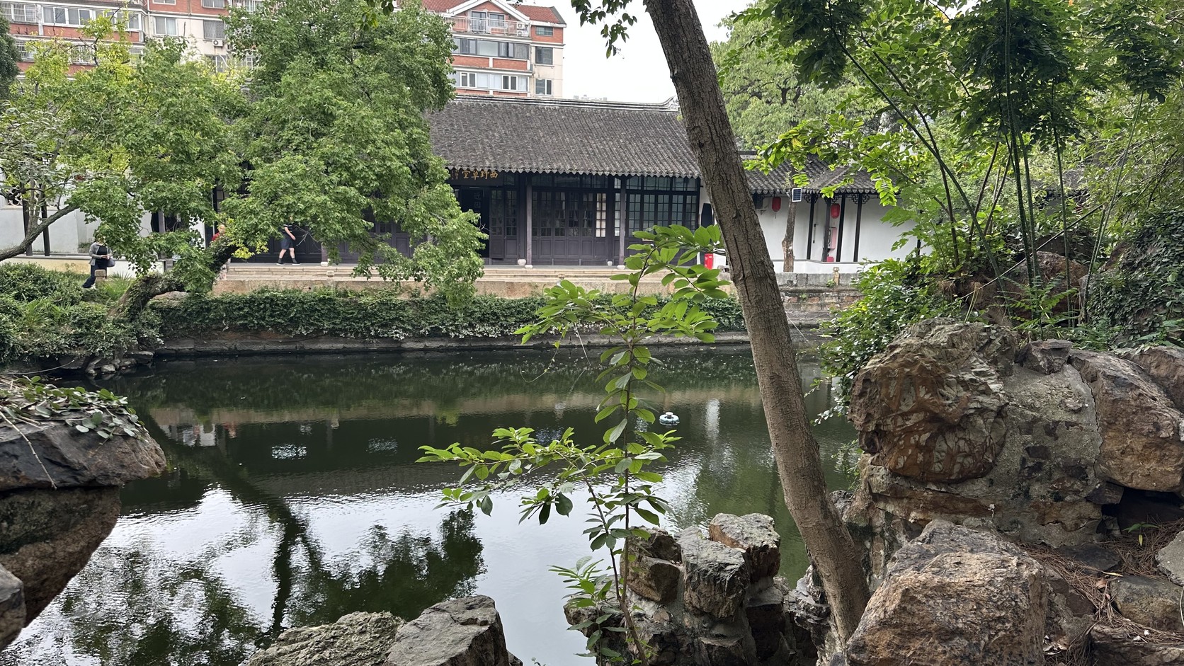 近園池面與對岸屋舍