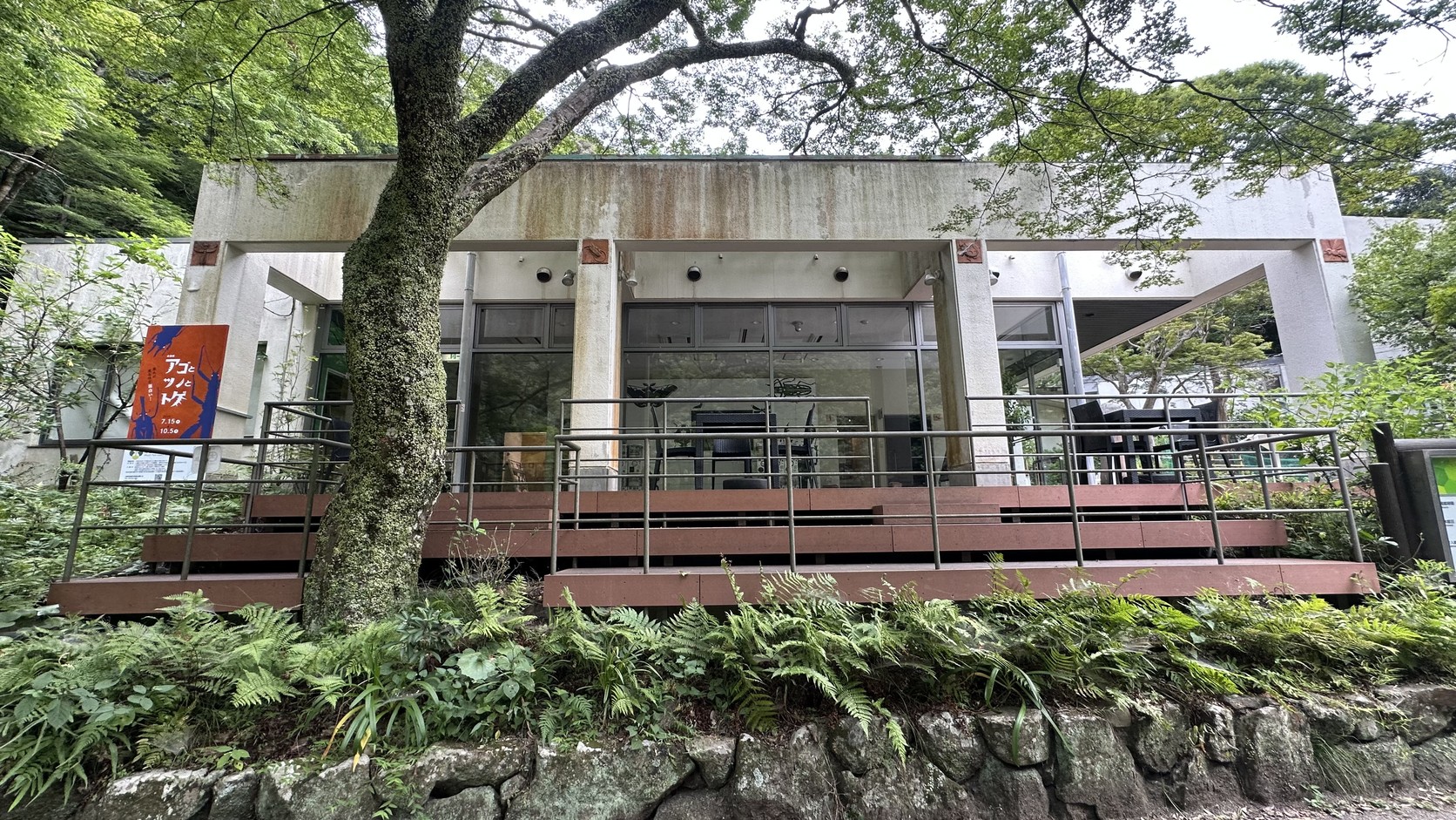 箕面公園昆蟲館外觀：水泥與玻璃構成的館舍與木平台被樹木與蕨類環繞，左側立著企劃展海報