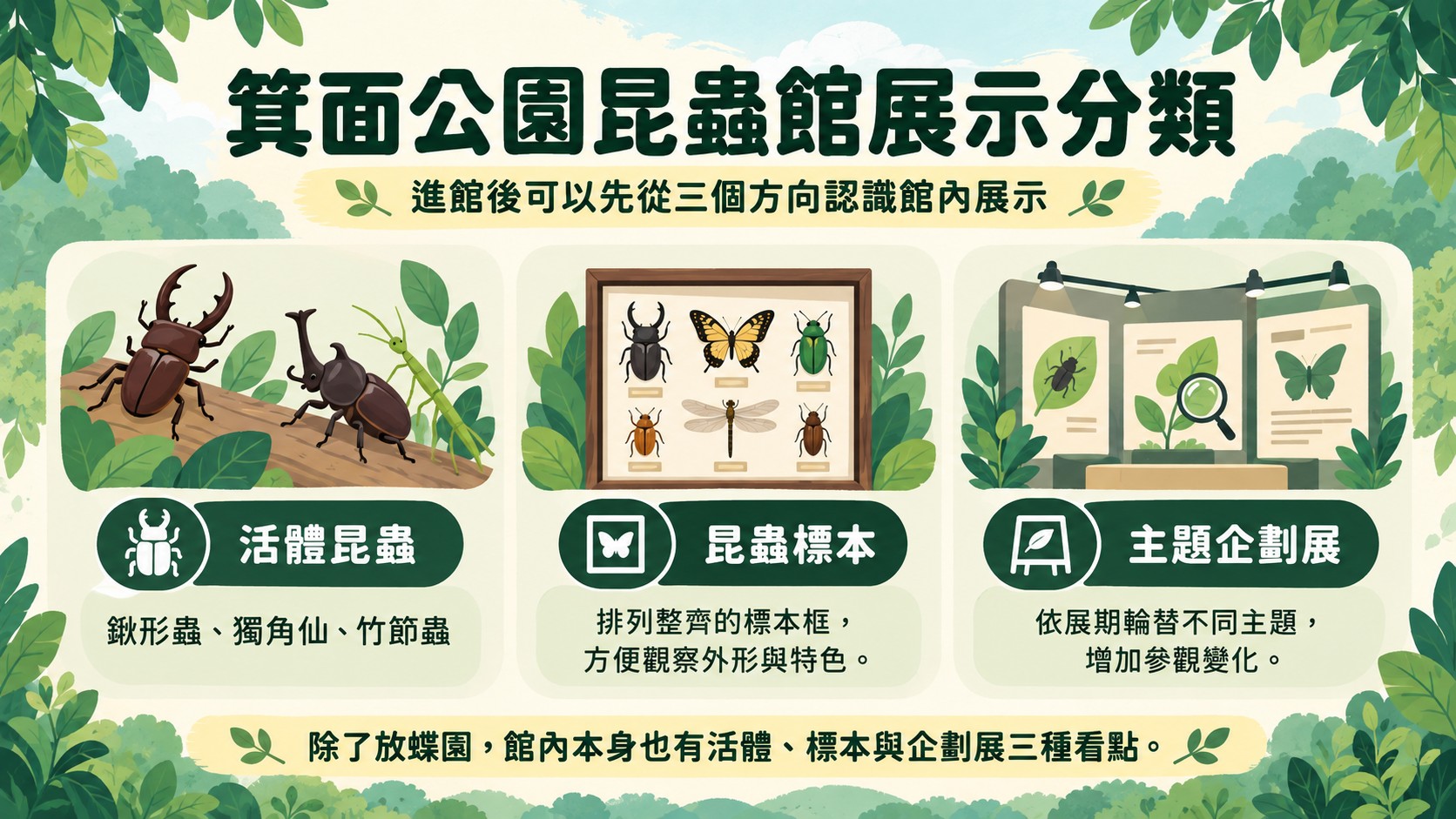 展示分類卡：館內有活體昆蟲（鍬形蟲、獨角仙、竹節蟲）、昆蟲標本與主題企劃展三種展示