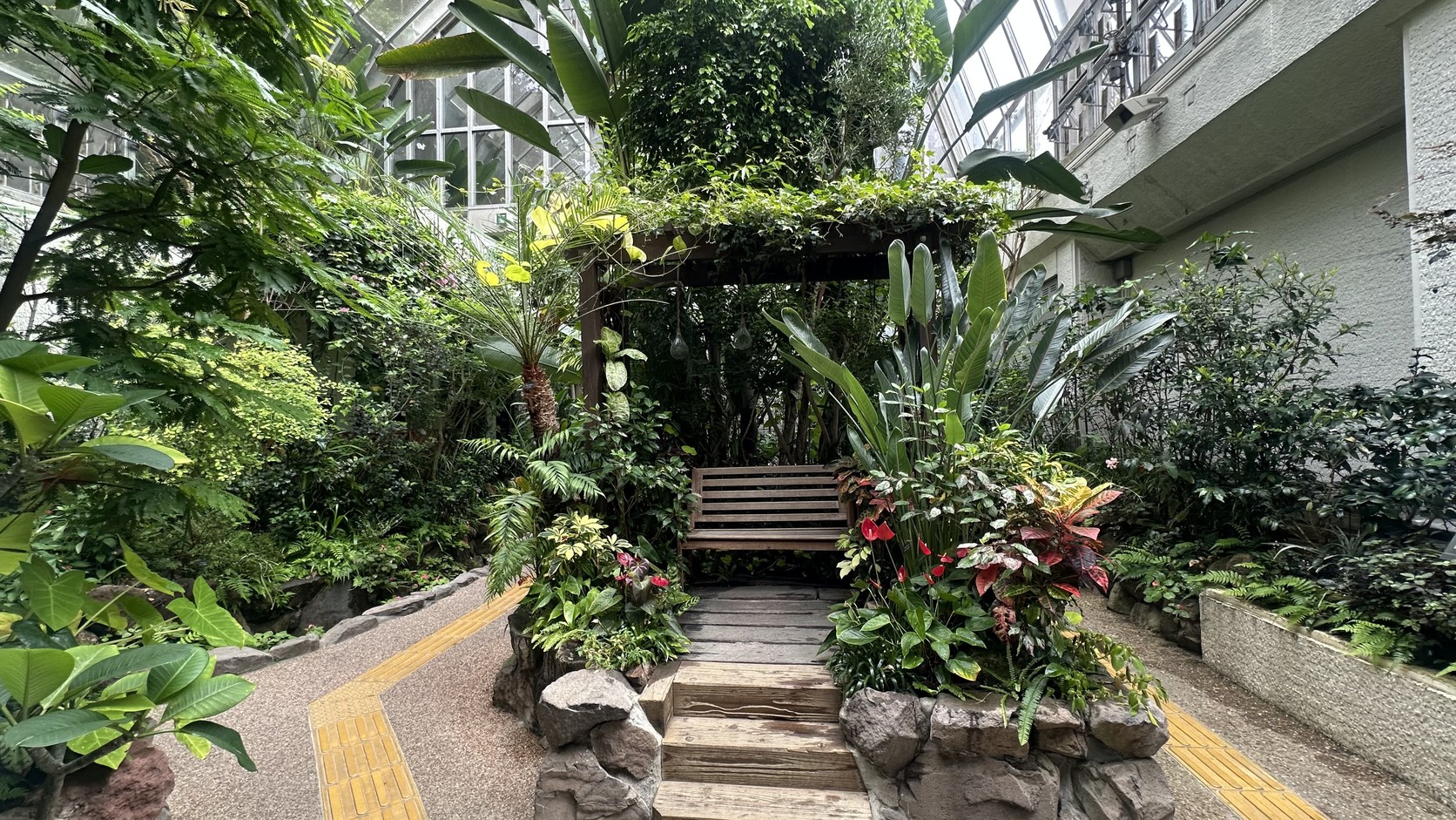 放蝶園內部：玻璃屋頂下有步道、木長椅與茂密的熱帶植物