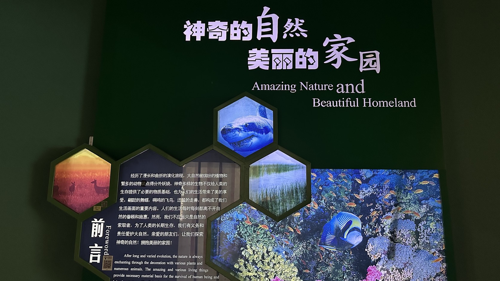 常州少兒自然博物館入口牆面的「神奇的自然 美麗的家園」展名與前言展板