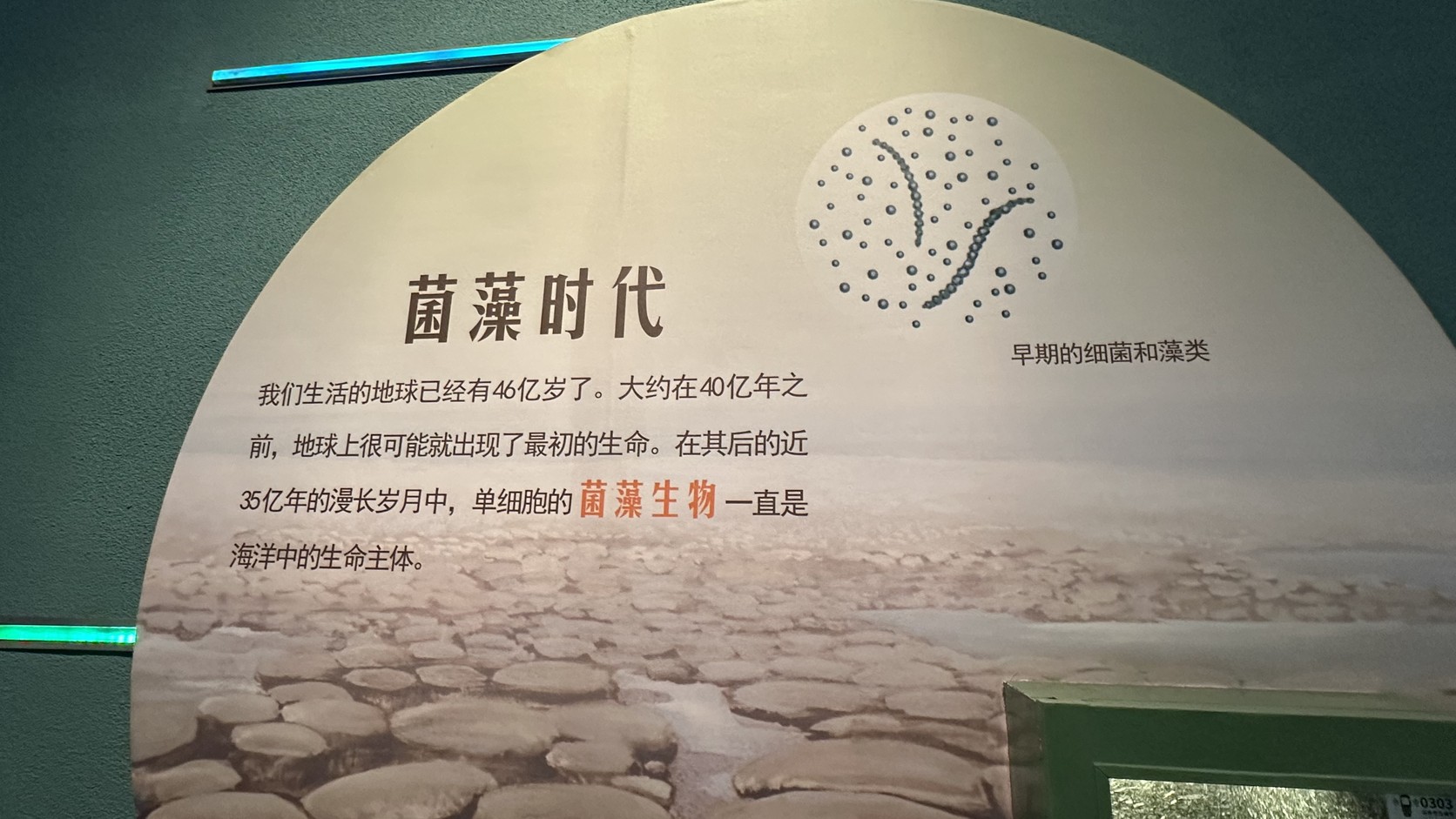 「菌藻時代」展板，說明地球已有 46 億歲與早期單細胞菌藻生物