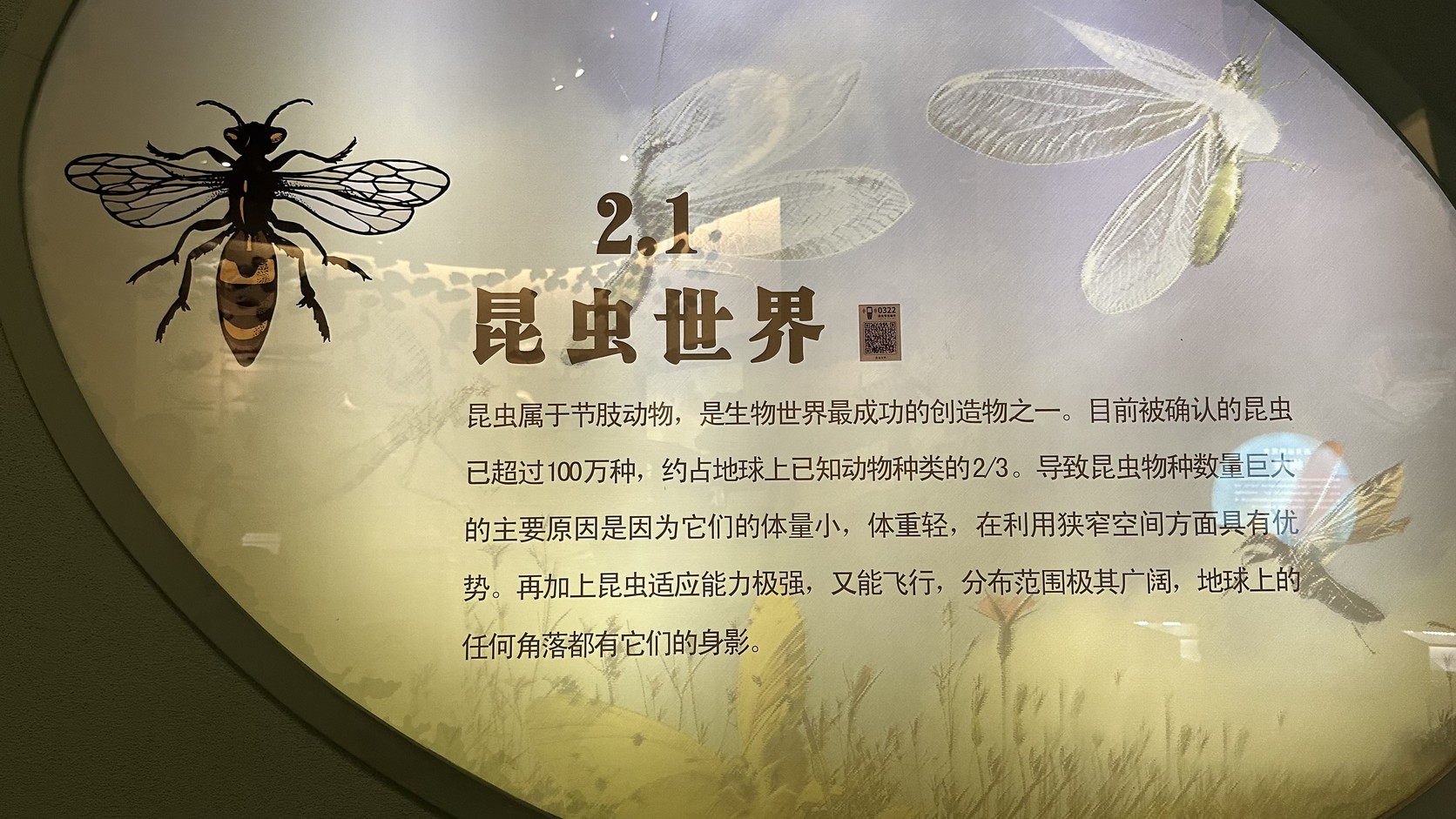 「2.1 昆蟲世界」展板，介紹昆蟲的種類、體型與分布