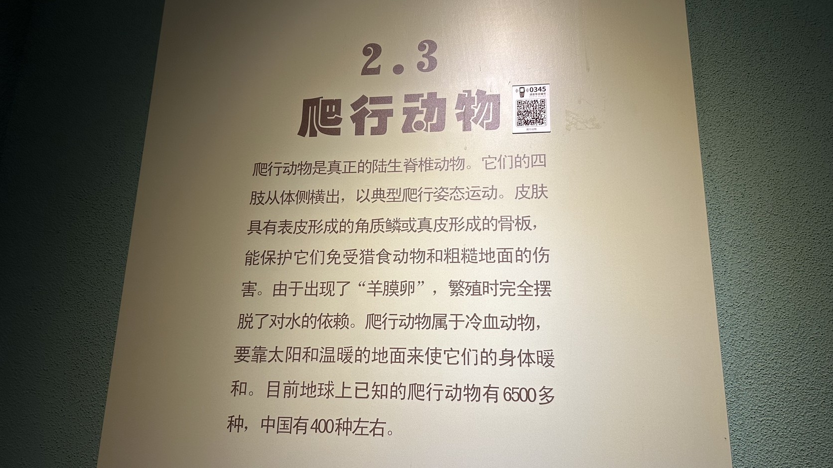 「2.3 爬行動物」展板